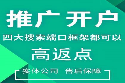 百度推广与SEO结合的营销策略案例分享